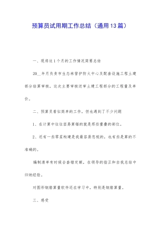 预算员试用期工作总结