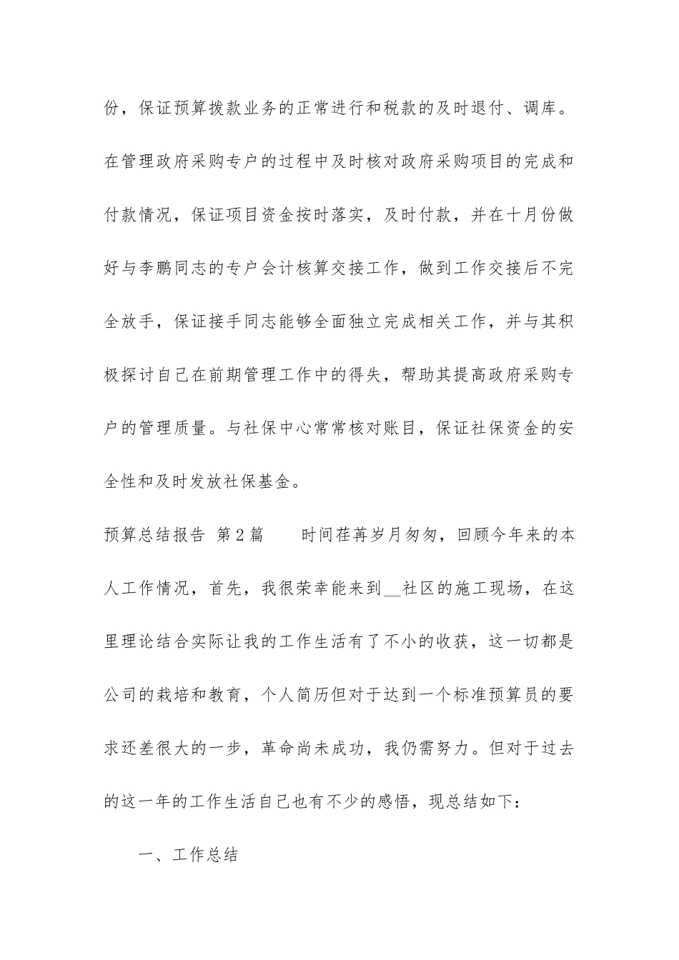 预算总结报告_第2页