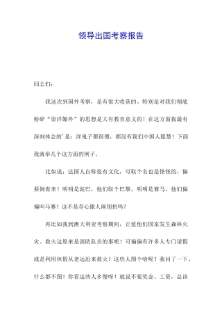 领导出国考察报告