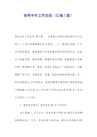 领导半年工作总结