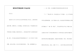 领导在苹果促销工作会讲话