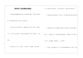 领导班子送别感谢词精选
