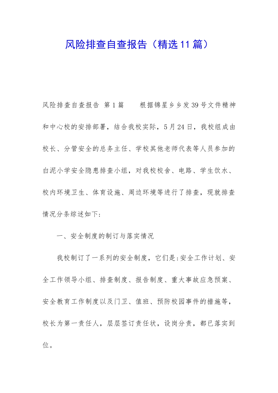 风险排查自查报告_第1页