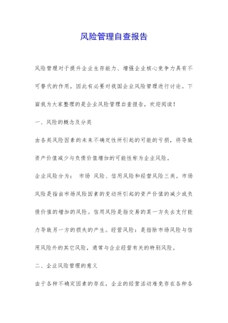 风险管理自查报告-