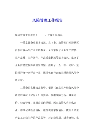 风险管理工作报告