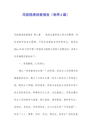 风险隐患排查报告