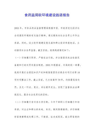 食药监局软环境建设践诺报告-