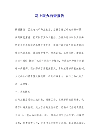 马上就办自查报告-