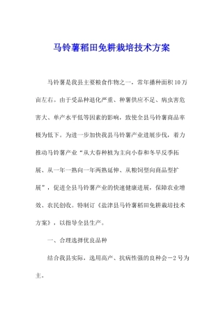 马铃薯稻田免耕栽培技术方案