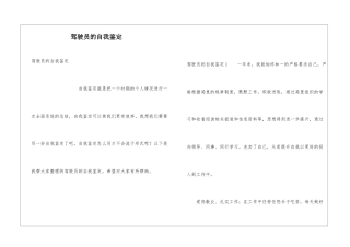 驾驶员的自我鉴定