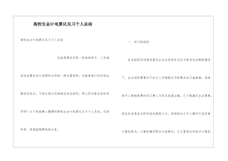 高校生会计电算化见习个人总结