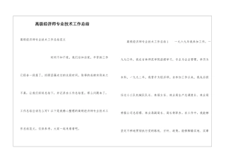 高级经济师专业技术工作总结