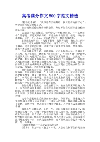 高考满分作文800字范文精选