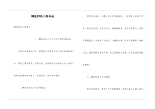 鲫鱼钓法心得体会