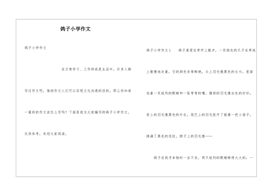 鸽子小学作文_第1页
