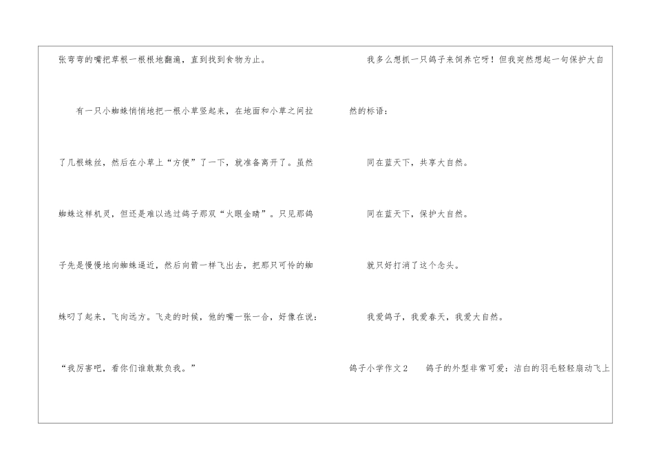 鸽子小学作文_第2页