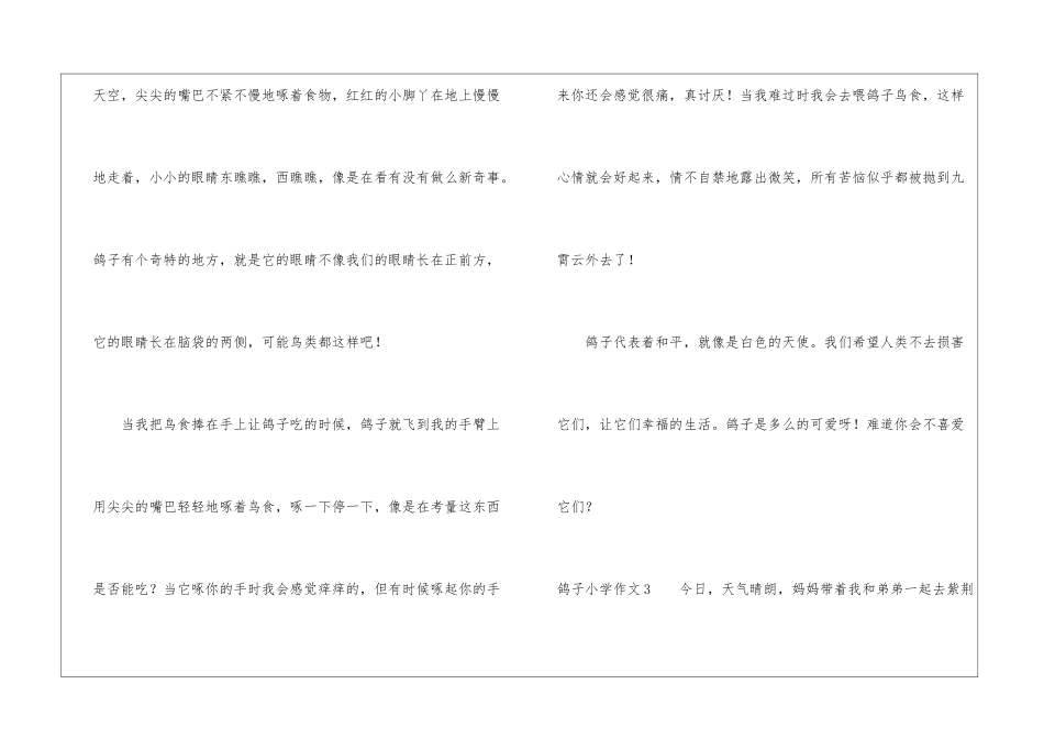鸽子小学作文_第3页