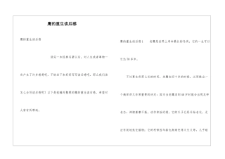 鹰的重生读后感
