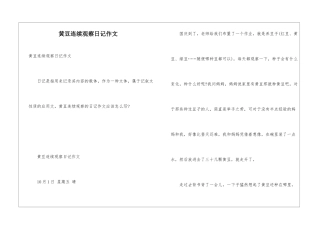黄豆连续观察日记作文