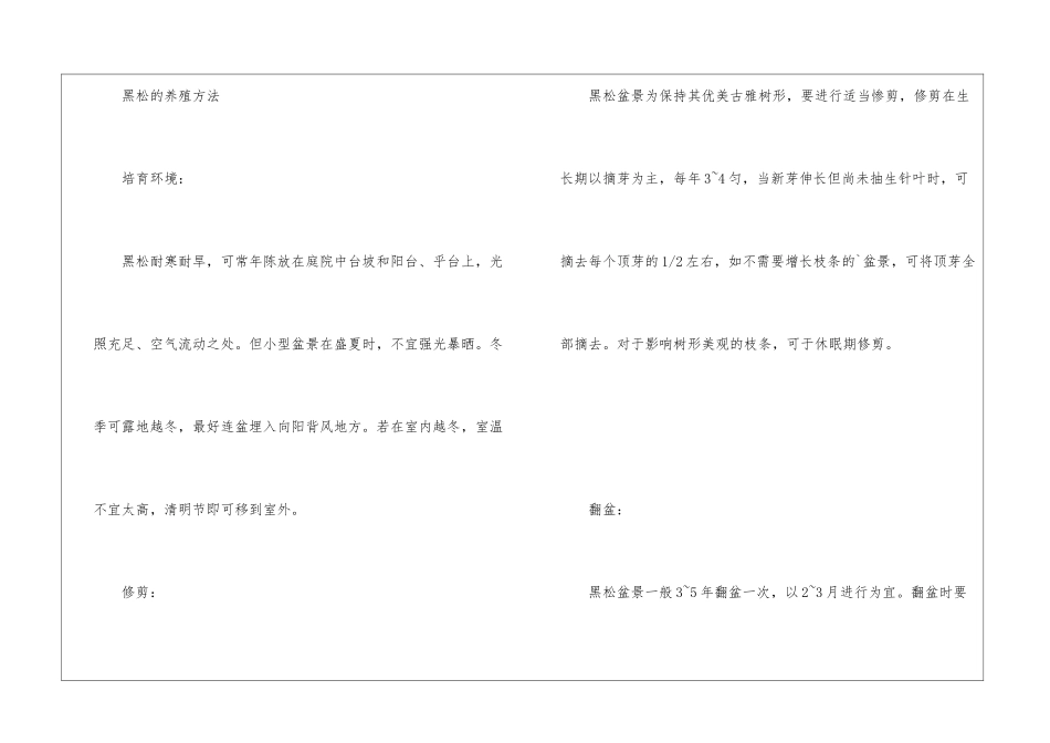黑松的养殖方法_第2页