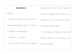 黑松的养殖方法