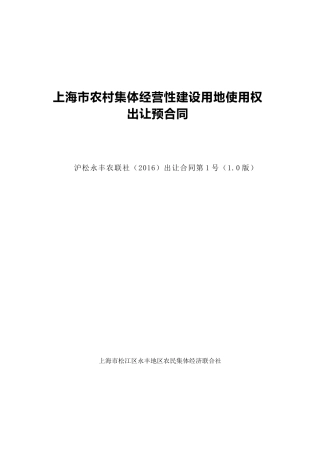 【2022精编】上海市农村集体经营性建设用地使用权(DOC40页)