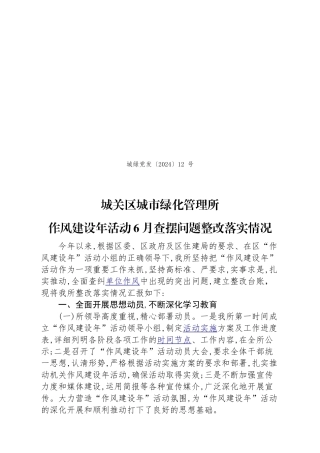 12作风建设年活动查摆问题整改落实情况