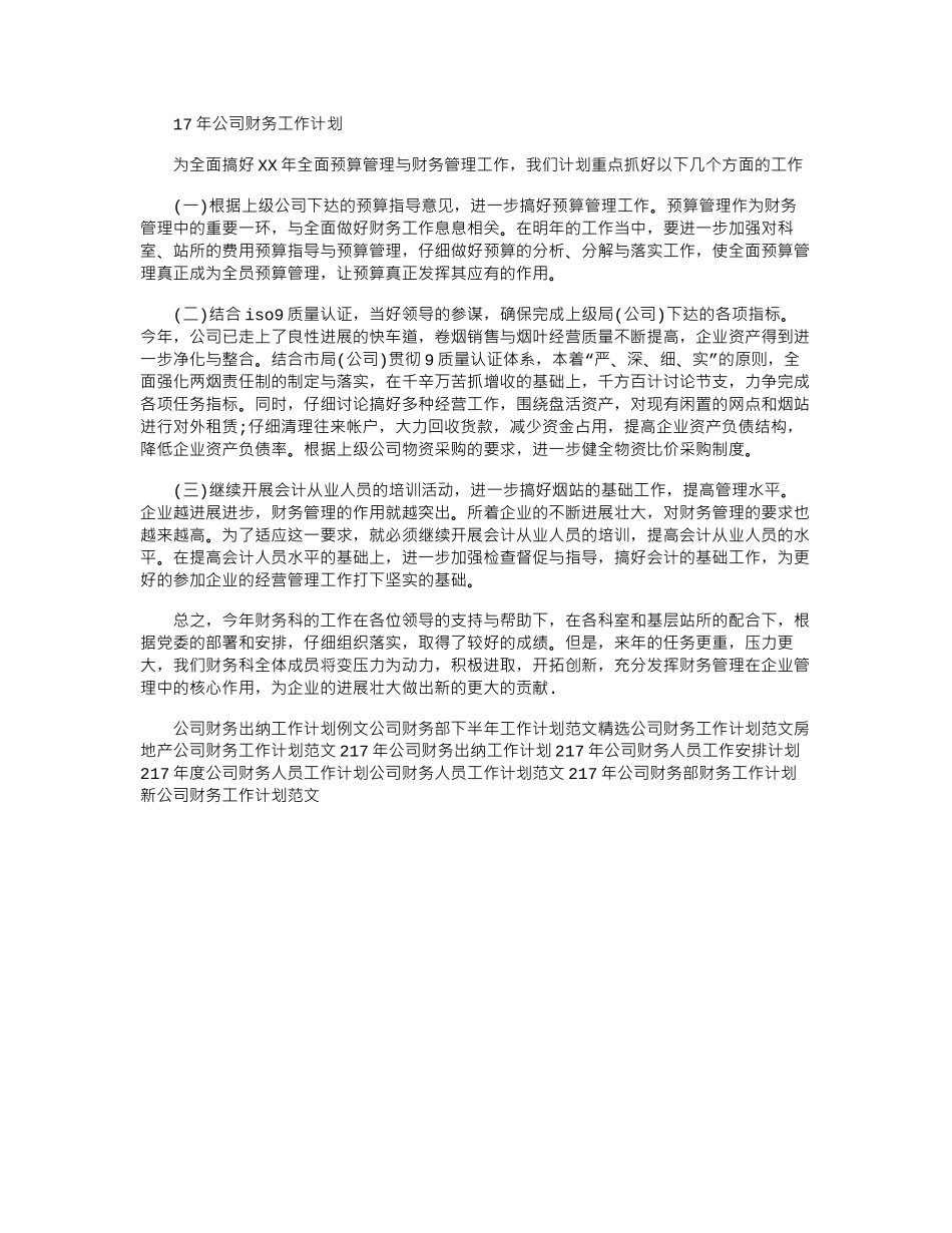 17年公司财务工作计划word版_第1页