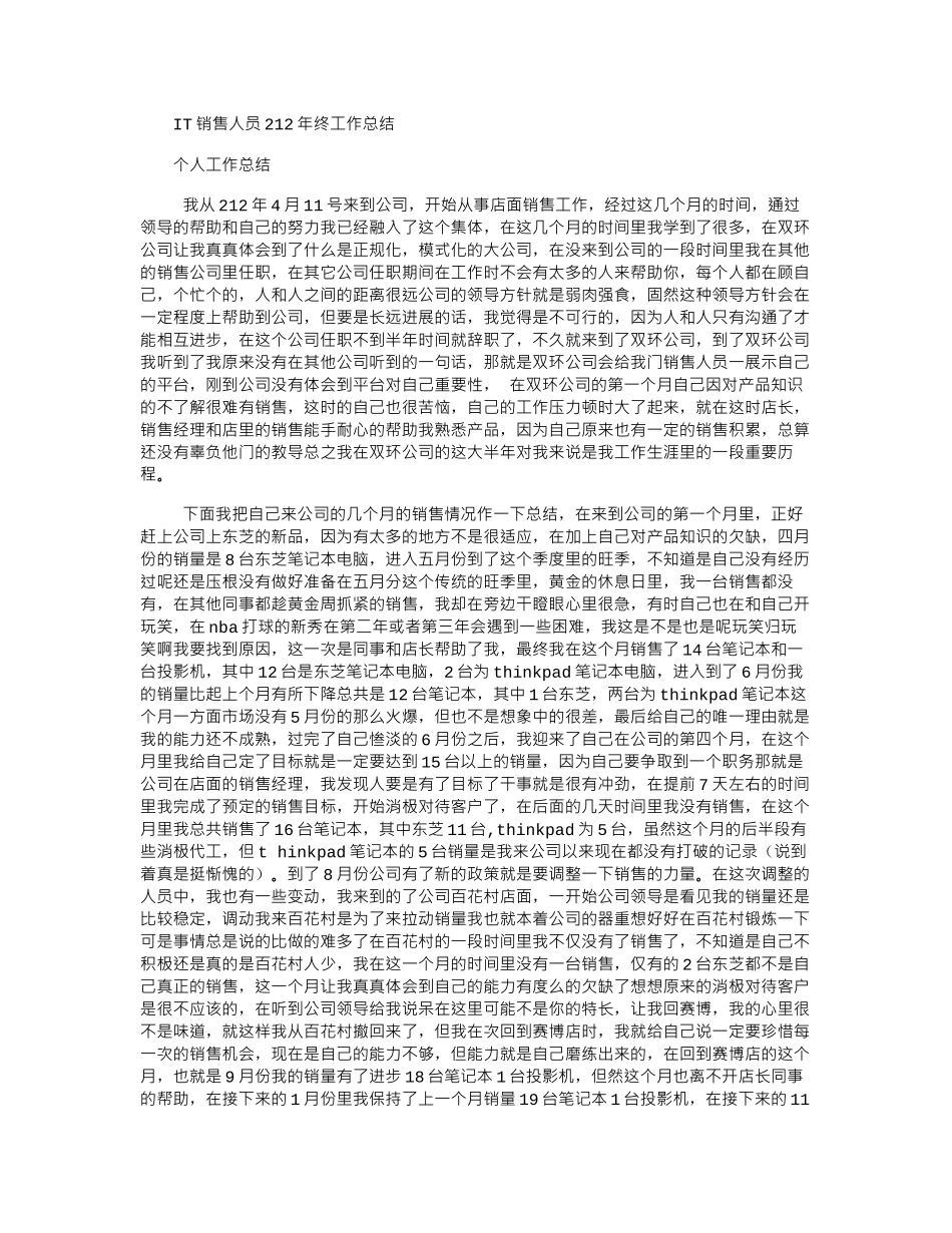 2024IT销售人员年终工作总结_第1页