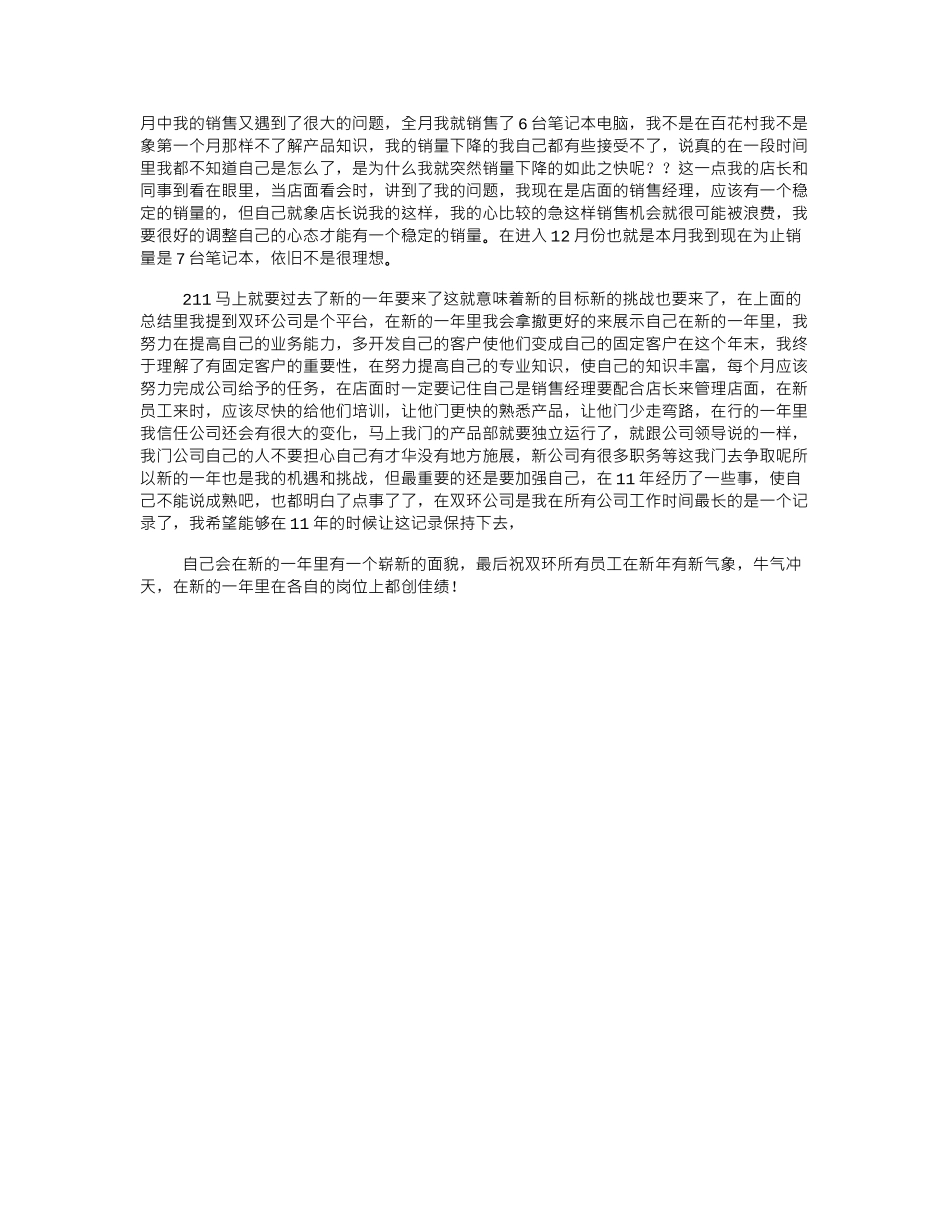 2024IT销售人员年终工作总结_第2页