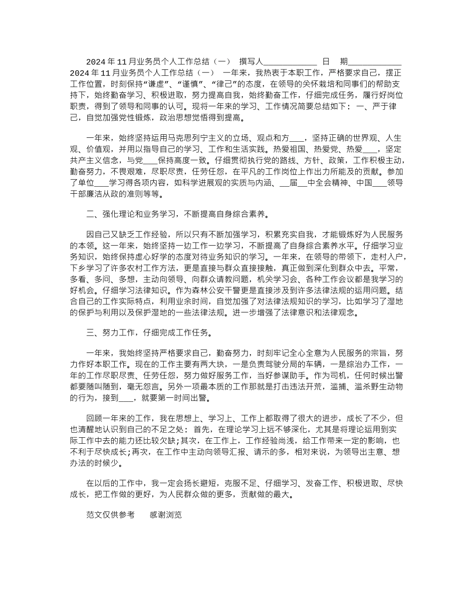 2024年11月业务员个人工作总结_第1页