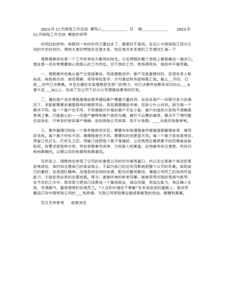 2024年11月保险工作总结