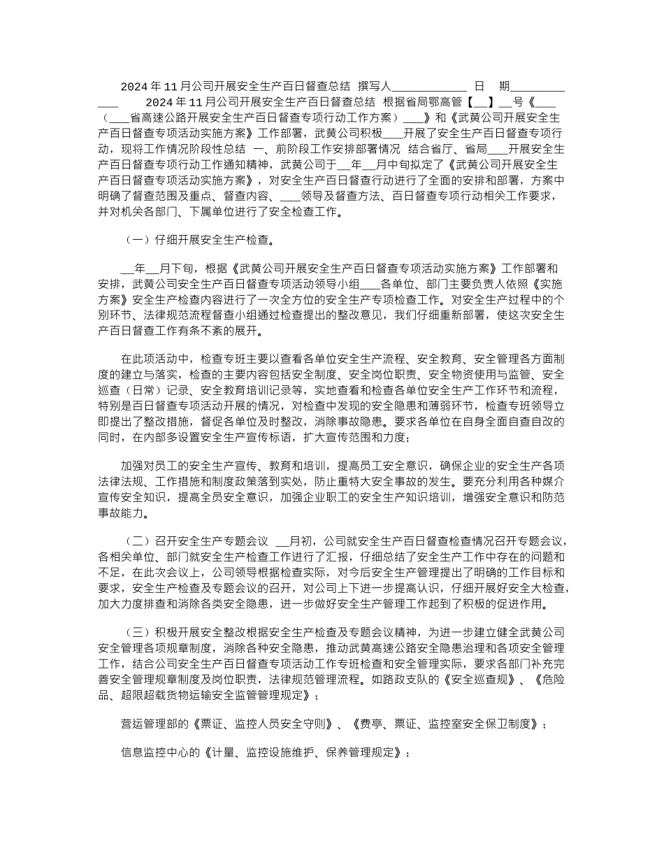 2024年11月公司开展安全生产百日督查总结_第1页