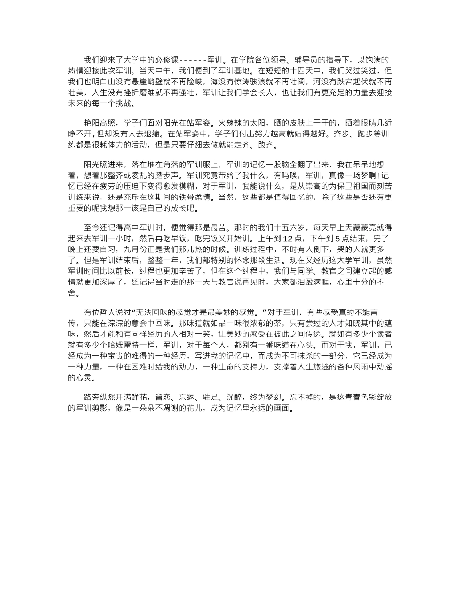 2024年1月大学新生军训心得体会范文word版_第1页