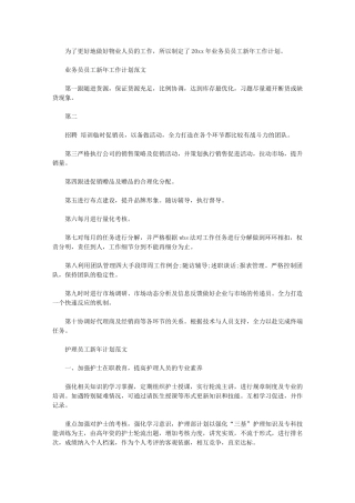 2024年[业务员员工新年工作计划例文]业务员工作计划和目标