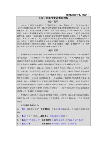 【2022精编】上市公司年度审计报告模板