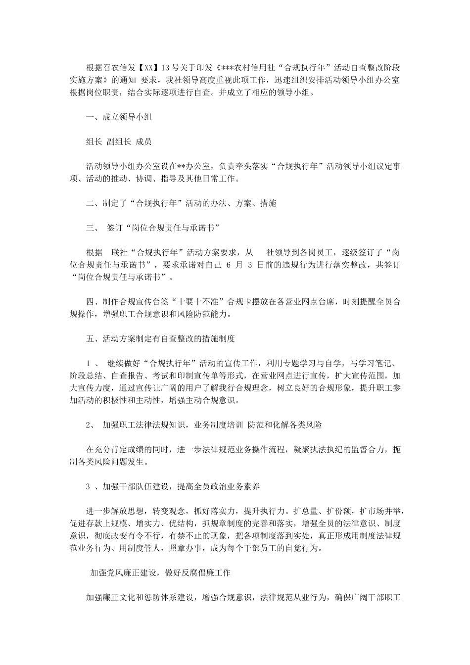 2024年“合规执行年”工作总结_第1页