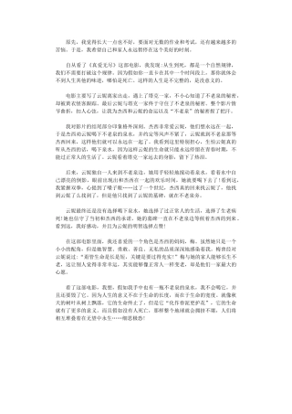 2024年《真爱无尽》观后感