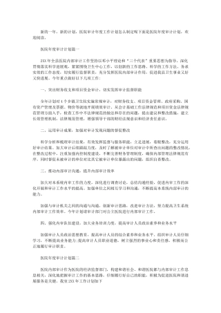 2024年【医院年度审计计划书】-医院审计