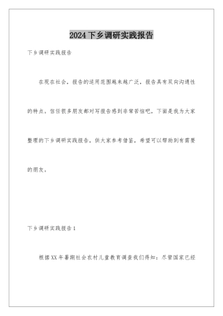 2024年下乡调研实践报告