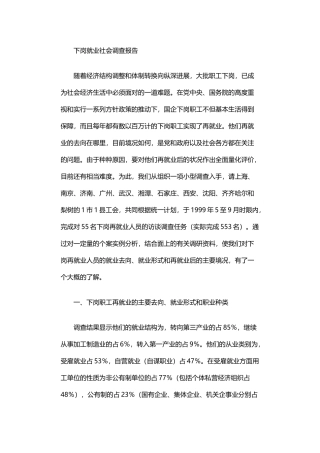 2024年下岗就业社会调查报告