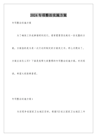 2024年专项整治实施方案