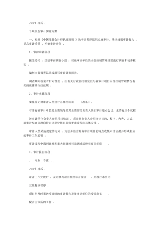 2024年专项资金审计实施计划实施方案