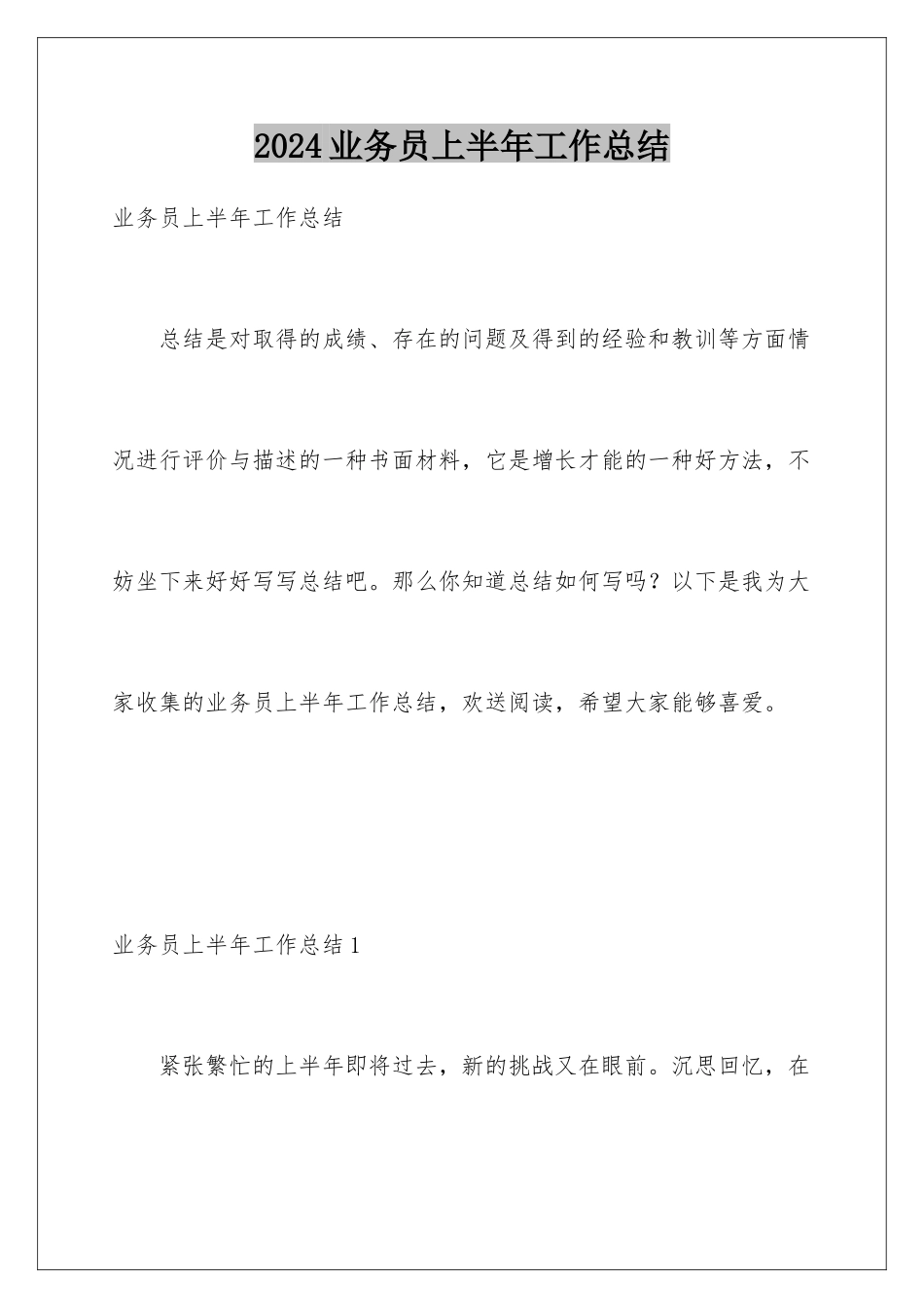 2024年业务员上半年工作总结_第1页