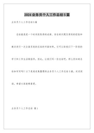 2024年业务员个人工作总结5篇