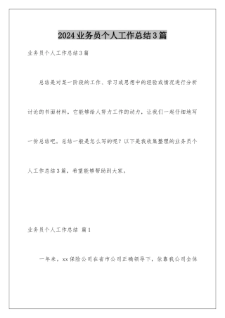 2024年业务员个人工作总结3篇