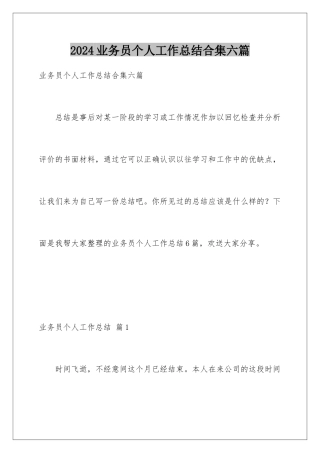 2024年业务员个人工作总结合集六篇