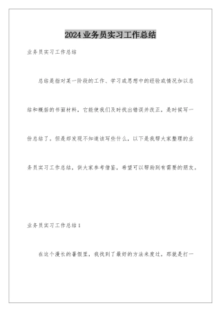 2024年业务员实习工作总结