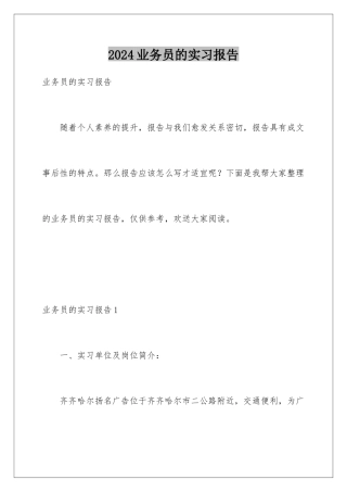 2024年业务员的实习报告