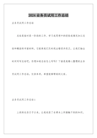 2024年业务员试用工作总结